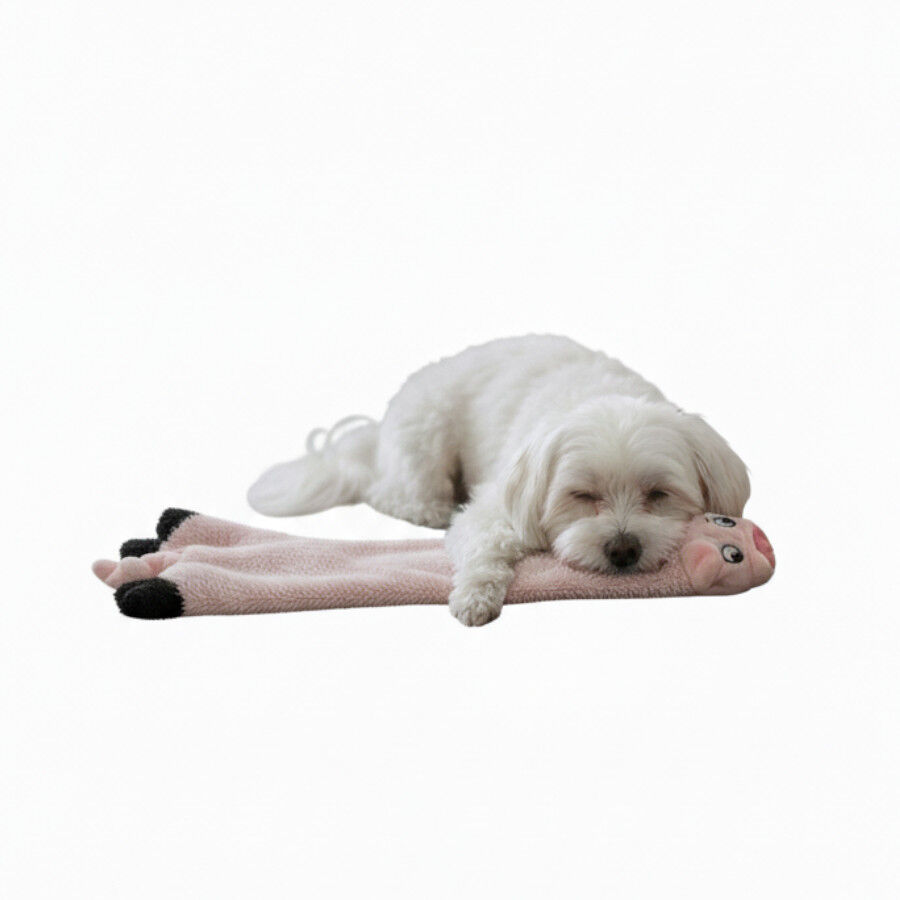 Love the Earth Peluche porco sem enchimento para c&atilde;es, , large Imagem n&uacute;mero 4