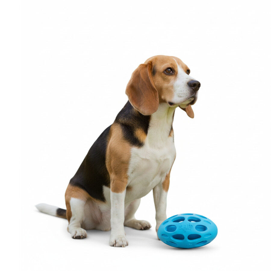 All For Paws Meta Ball Bola azul Brinquedo para c&atilde;es, , large Imagem n&uacute;mero 3