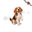 1 pack x 6 uns. Wonder Christmas Coxa de Frango Snacks para C&atilde;es, , large Indicador imagem n&uacute;mero 1