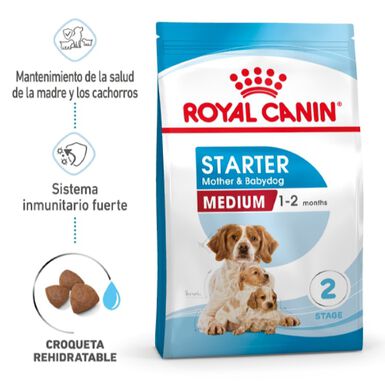 Royal Canin Medium Starter Mother&Baby ração para cães
