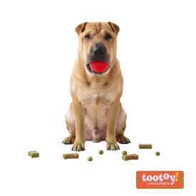Tootoy! Chew Brinquedo interativo dispensador de snacks para c&atilde;es