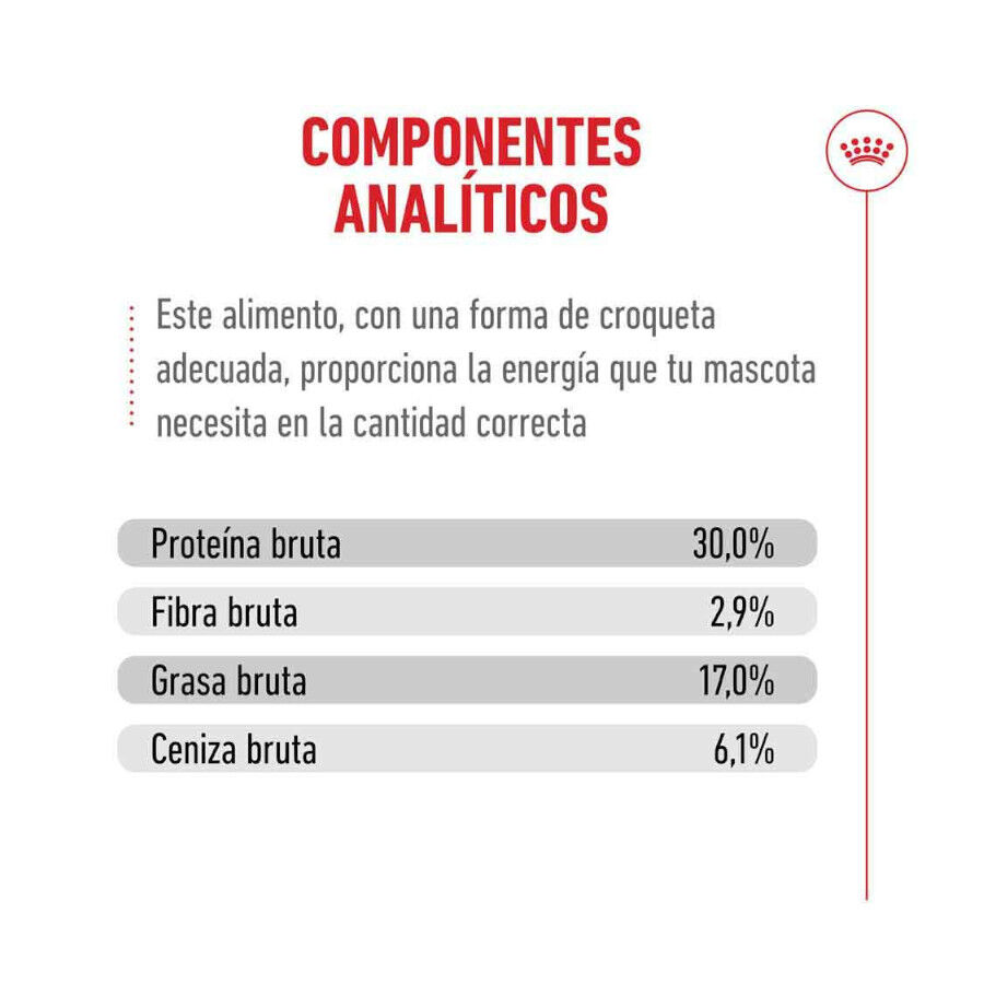 4 kg Royal Canin Ageing 11+ ra&ccedil;&atilde;o para gatos, , large Imagem n&uacute;mero 10