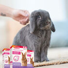 Beaphar RabbitComfort Difusor e recarga para coelhos, , large image number null