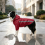 Gotoo Casaco Imperme&aacute;vel Refletor Vermelho para c&atilde;es, , large Indicador imagem n&uacute;mero 1