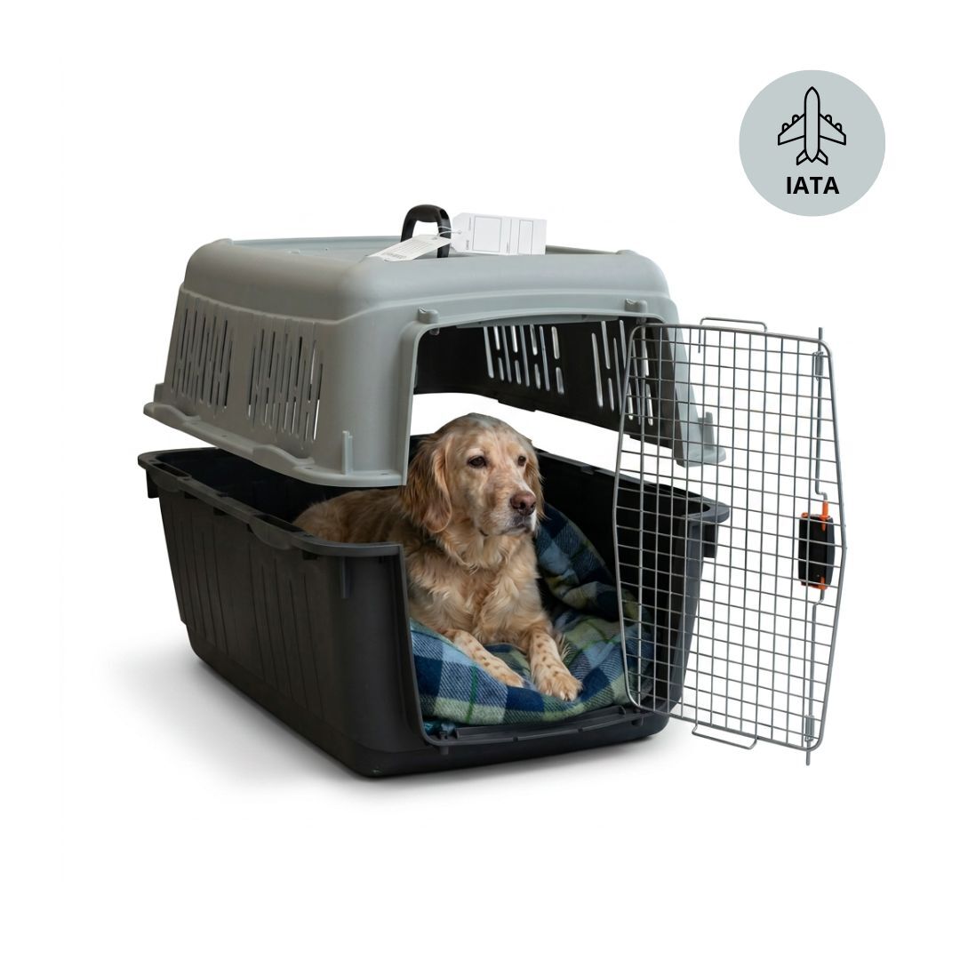Nayeco Bracco Travel IATA Transportadora para c&atilde;es, , large Imagem n&uacute;mero 2