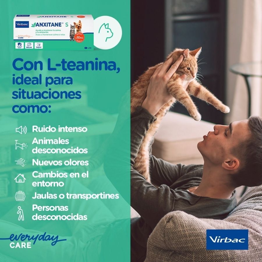 M/L Virbac Anxitane Relaxantes em comprimidos para c&atilde;es e gatos, , large Imagem n&uacute;mero 4