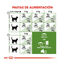 Royal Canin Active Life Outdoor ração para gatos, , large Indicador imagem número 7