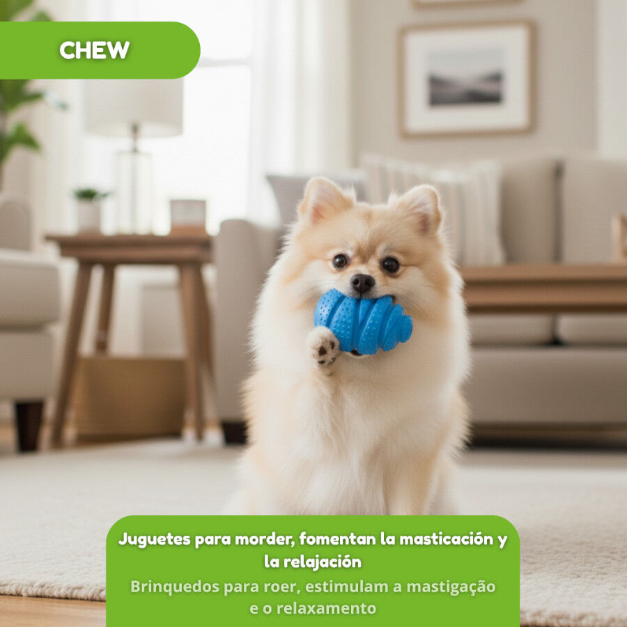 Tootoy! Chew Brinquedo interativo dispensador de snacks para c&atilde;es, , large Imagem n&uacute;mero 4