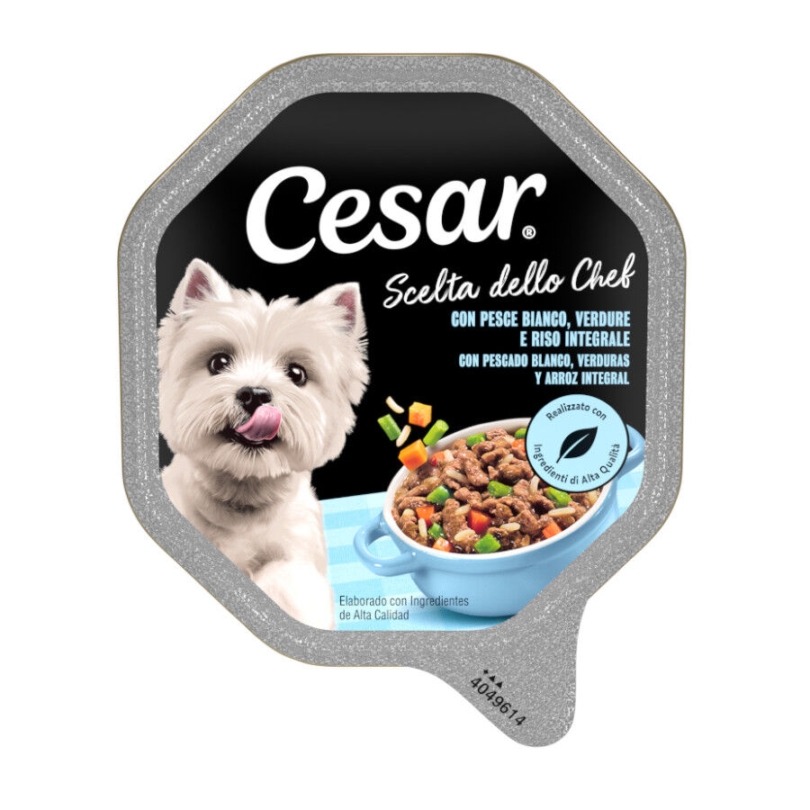150 g Cesar Recetas del Chef Pescado con Verduras tarrina para perros, , large Imagem n&uacute;mero 1