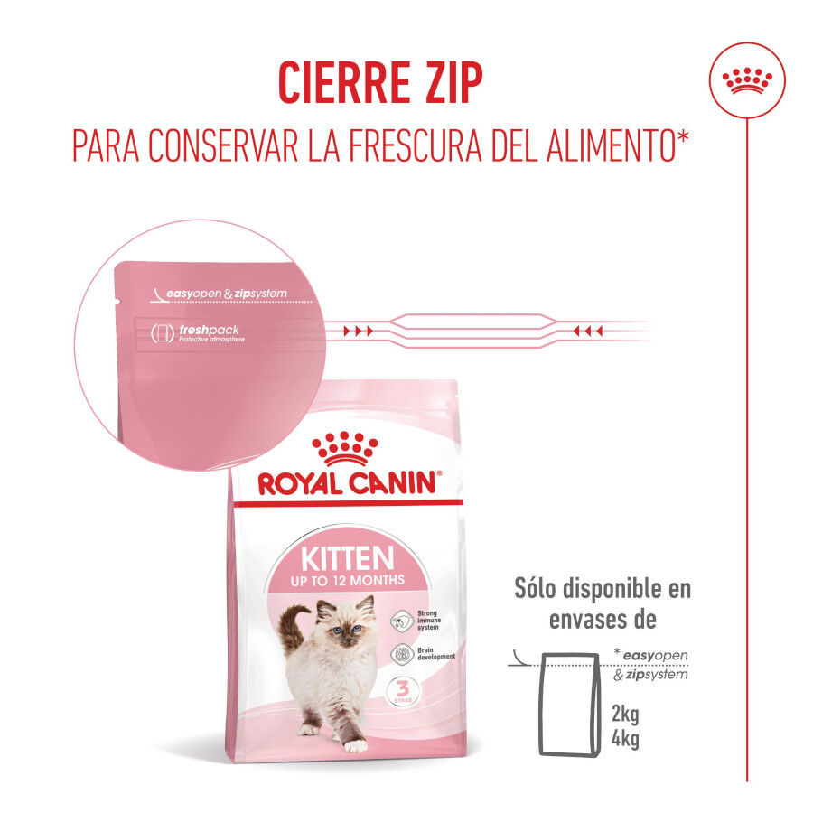 10 kg Royal Canin Kitten ra&ccedil;&atilde;o para gatos, , large Imagem n&uacute;mero 5