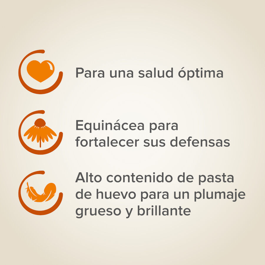 Mistura de sementes Beaphar XtraVital Premium para periquitos, , large Imagem n&uacute;mero 4