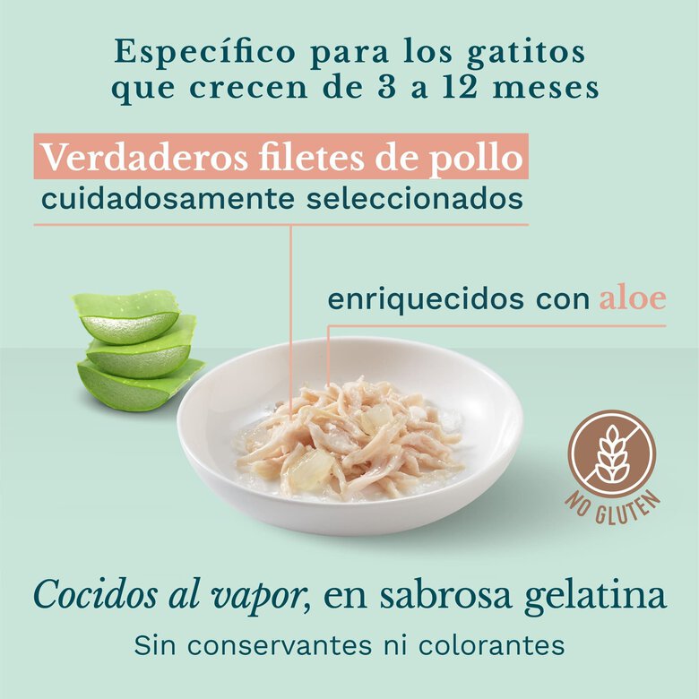 85 g Schesir Kitten Frango com Aloé lata para gatos,  Imagem número 3 85 g Schesir Kitten Frango com Aloé lata para gatos, , large Imagem número 3