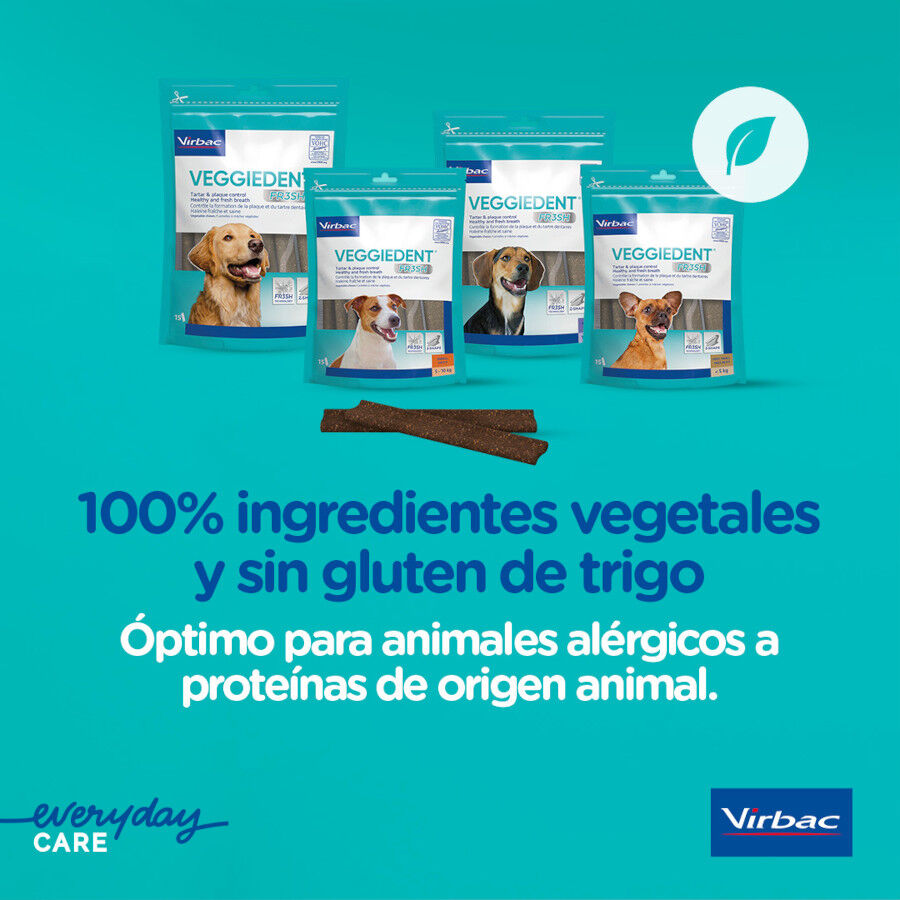 15 sticks Virbac Snacks Dent&aacute;rios Veggiedent Fresh para c&atilde;es de ra&ccedil;a grande, , large Imagem n&uacute;mero 11