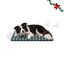 Wonder Christmas Conjunto de manta e almofada em forma de osso para c&atilde;es, , large Indicador imagem n&uacute;mero 1