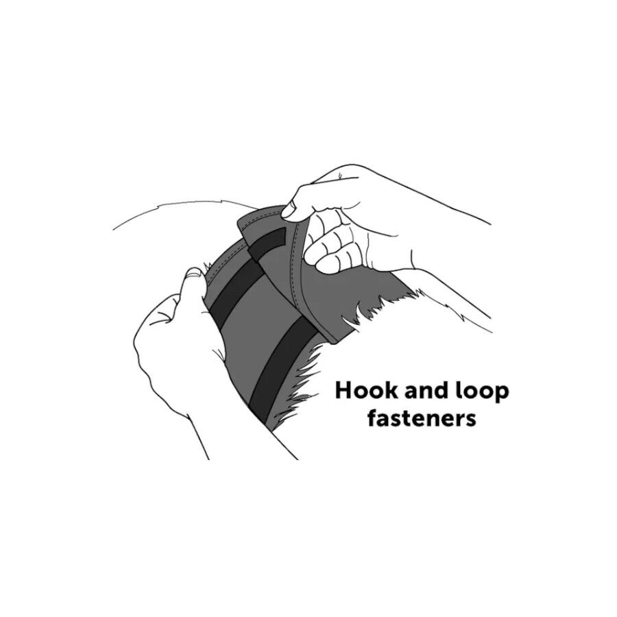 Flamingo fralda lav&aacute;vel para c&atilde;es machos, , large Imagem n&uacute;mero 3