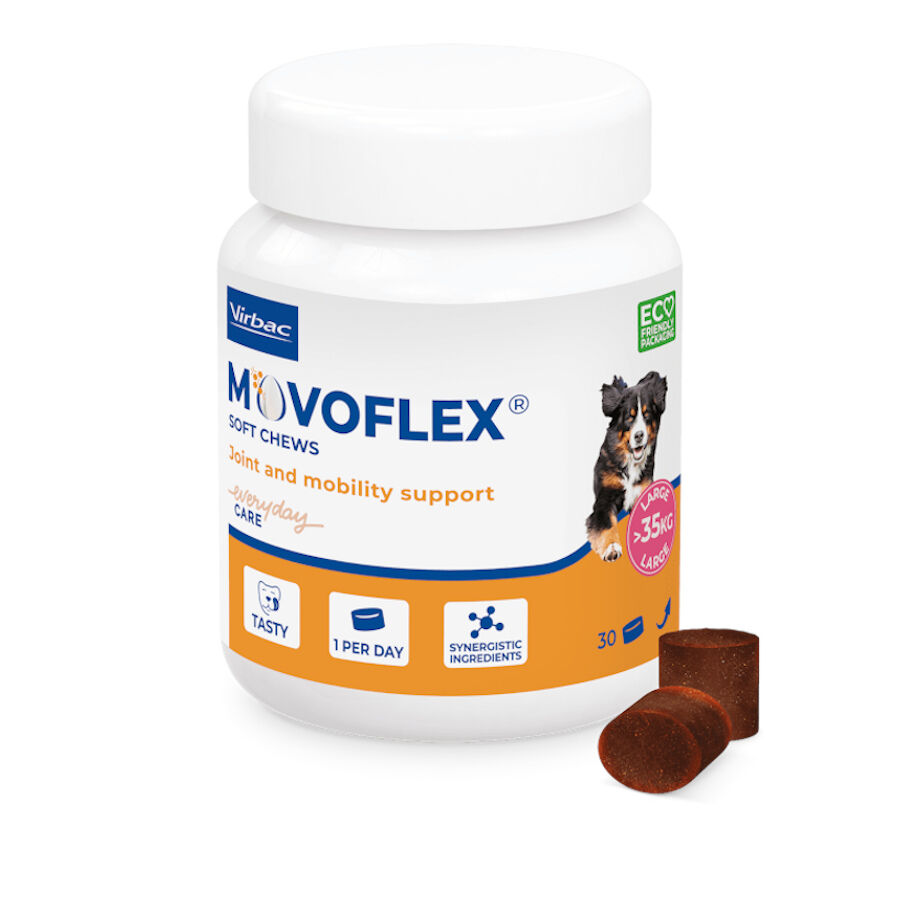 Virbac Movoflex Condroprotetor para c&atilde;es de porte m&eacute;dio, , large Imagem n&uacute;mero 1