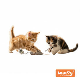 Tootoy! Kitten Rato de brinquedo para gatos
