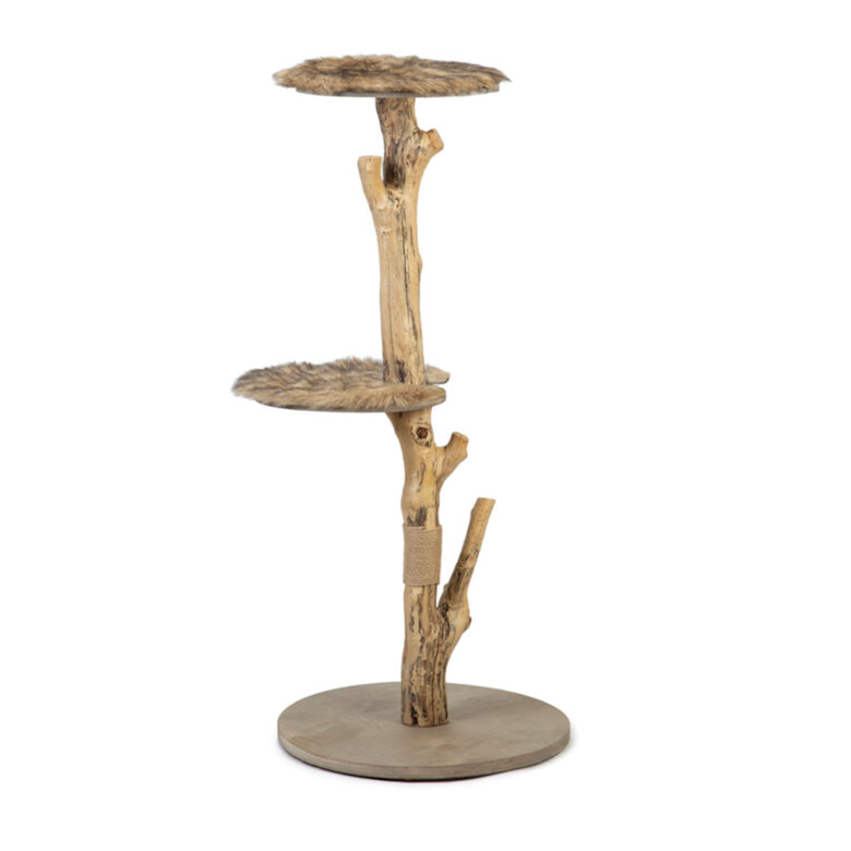 Designed by Lotte It Jazz Árvore arranhador para gatos,  Imagem número 1 Designed by Lotte It Jazz Árvore arranhador para gatos, , large Imagem número 1