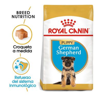 Royal Canin Puppy Pastor Alemão ração para cães