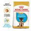 12 kg Royal Canin Puppy Pastor Alemão ração para cães, , large Indicador imagem número 2