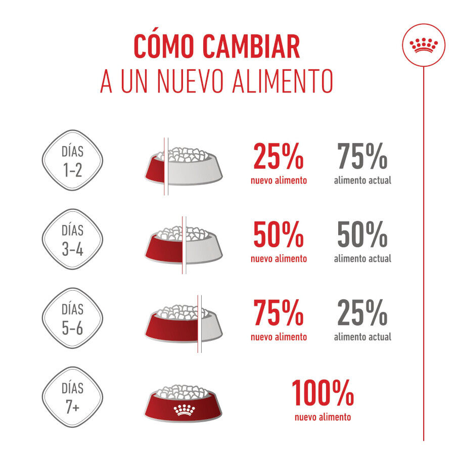 Royal Canin Mini Starter MothereBaby ra&ccedil;&atilde;o para c&atilde;es, , large Imagem n&uacute;mero 10