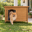 TK-Pet Tindaya Casota para c&atilde;es, , large Indicador imagem n&uacute;mero 1