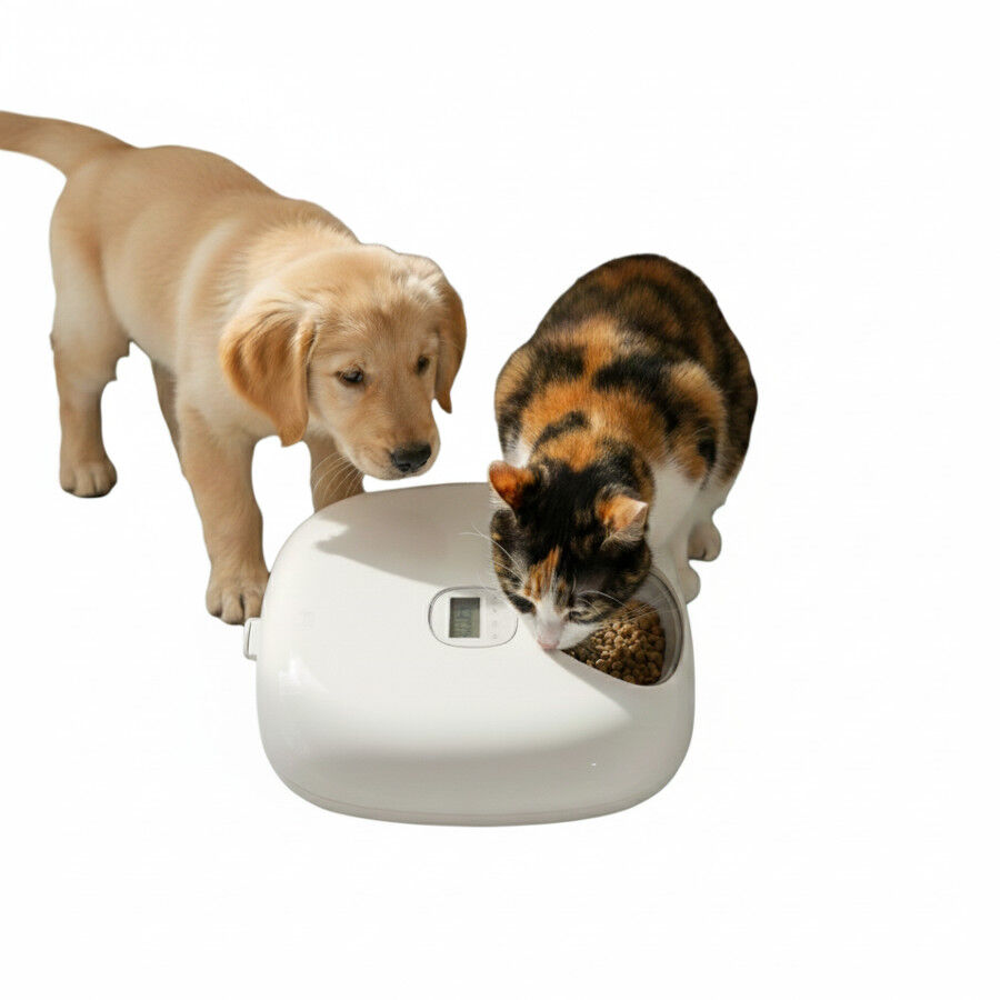 All For Paws Lifestyle Comedouro Autom&aacute;tico Branco para c&atilde;es e gatos, , large Imagem n&uacute;mero 3