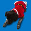 Wonder Christmas Santa Camisola de Natal para cães, , large Indicador imagem número 4