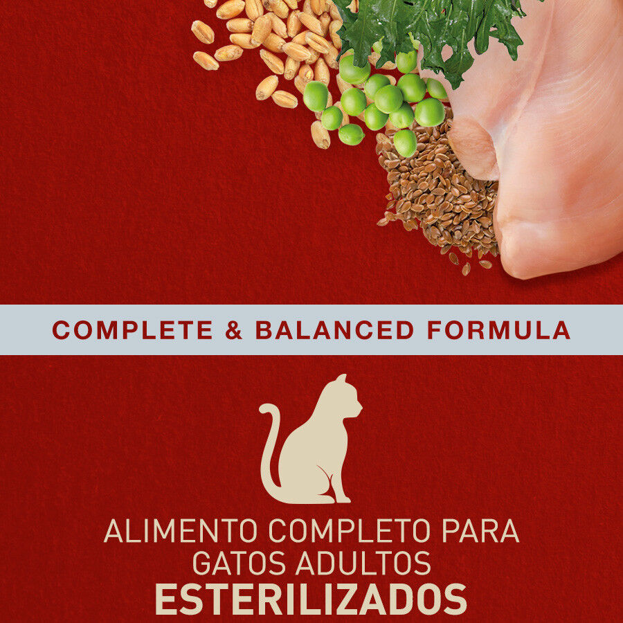 2.5 kg Ra&ccedil;&atilde;o para gatos Catxtreme Adult Skin & Coat Sterilized Chicken 2,5 kg, , large Imagem n&uacute;mero 3