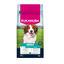 12 kg Eukanuba Adult Ra&ccedil;&atilde;o de cordeiro e arroz para c&atilde;es de ra&ccedil;a pequena e m&eacute;dia, , large Indicador imagem n&uacute;mero 1