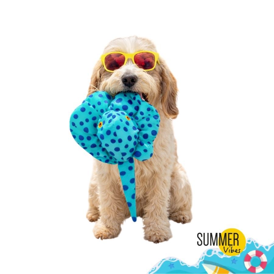 Summer Vibes Floating Stingray Brinquedo Flutuante para c&atilde;es, , large Imagem n&uacute;mero 7