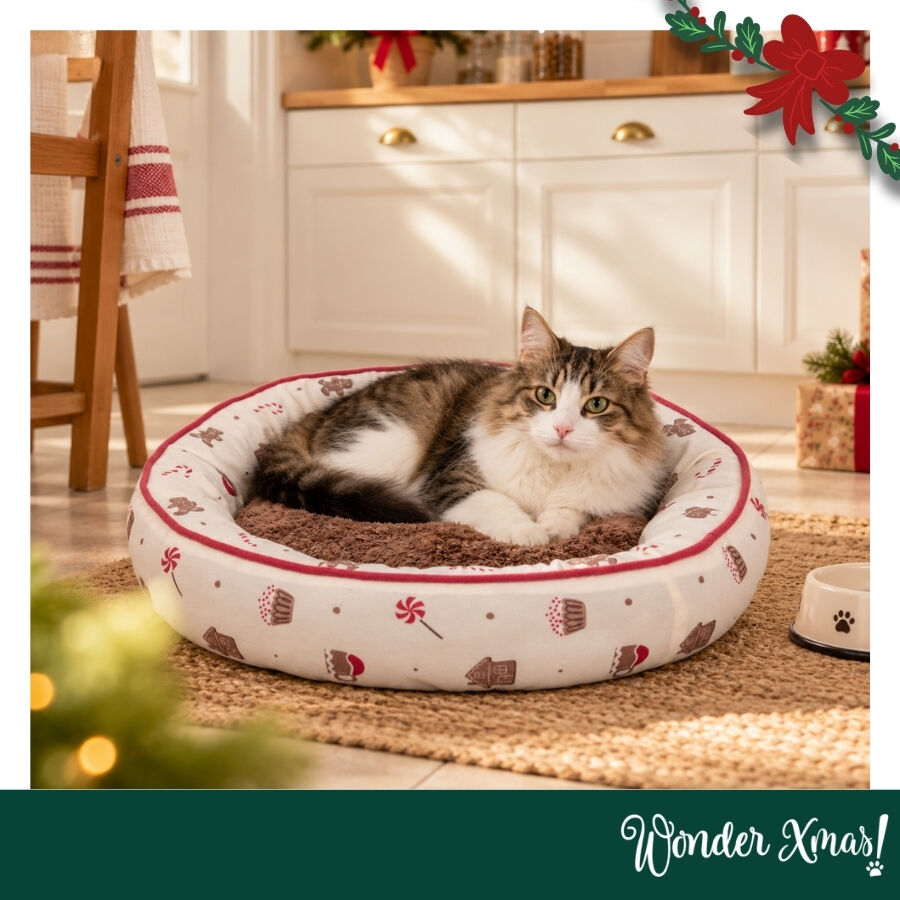 Wonder Christmas Cama para gatos, , large Imagem n&uacute;mero 2