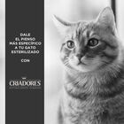 Criadores Adulto Esterilizado Frango ração para gatos, , large image number null