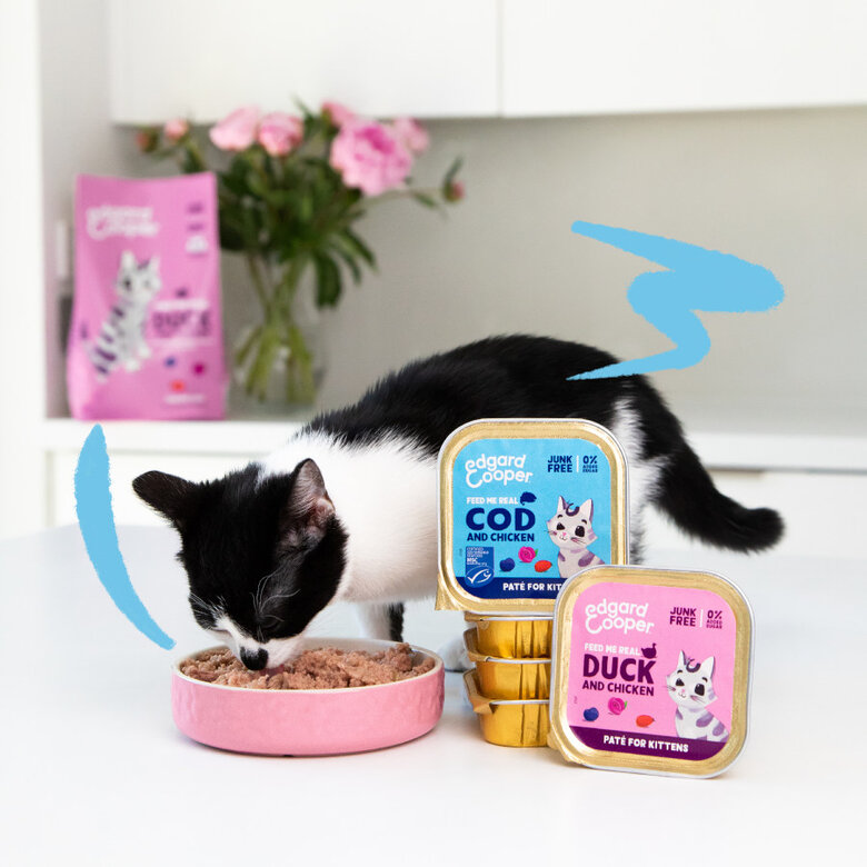 Edgard & Cooper Kitten Bacalhau e Frango em Patê terrina, , large image number null