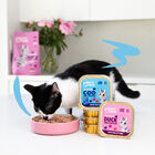 Edgard & Cooper Kitten Bacalhau e Frango em Patê terrina, , large image number null