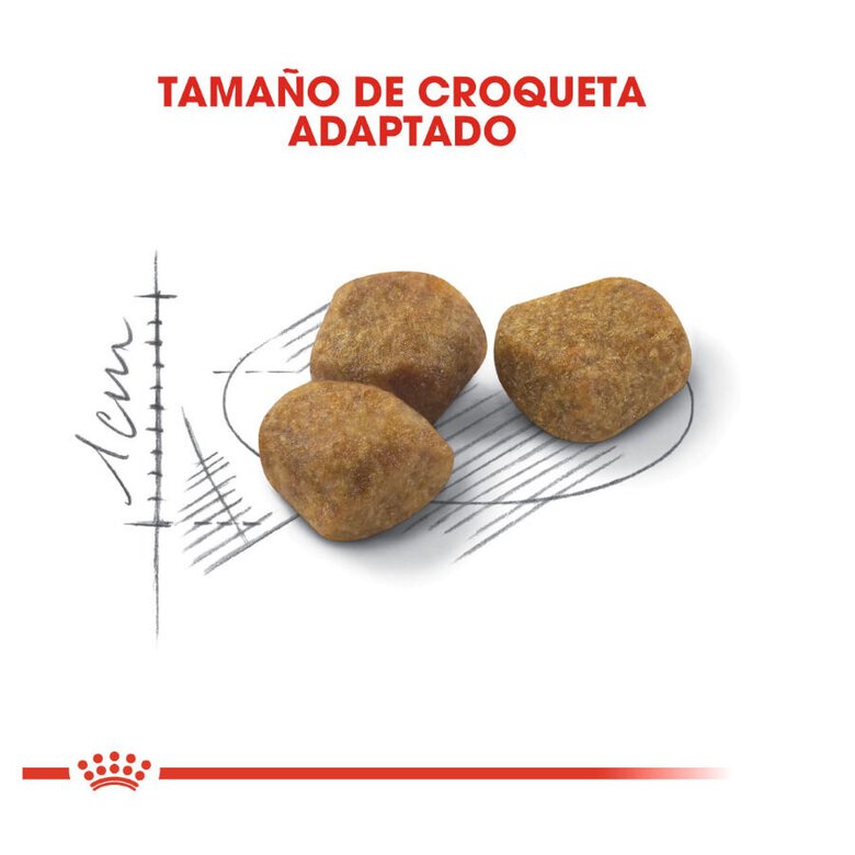 3.5 kg Royal Canin Home Life Indoor 7+ ração para gatos,  Imagem número 4 3.5 kg Royal Canin Home Life Indoor 7+ ração para gatos, , large Imagem número 4
