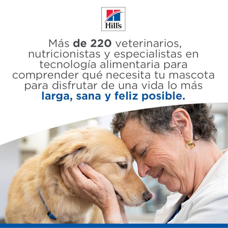 363 g Hill's Adult Science Plan Perfect Digestion frango ração para cães,  Imagem número 8 363 g Hill's Adult Science Plan Perfect Digestion frango ração para cães, , large Imagem número 8