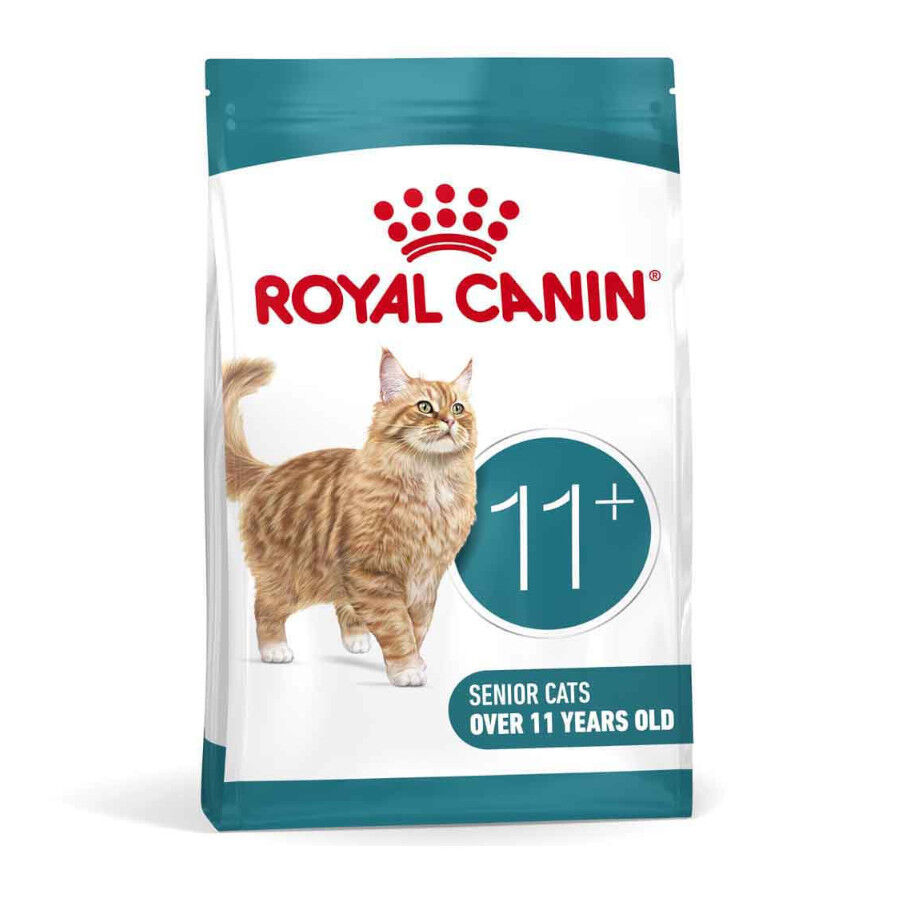 4 kg Royal Canin Ageing 11+ ra&ccedil;&atilde;o para gatos, , large Imagem n&uacute;mero 1