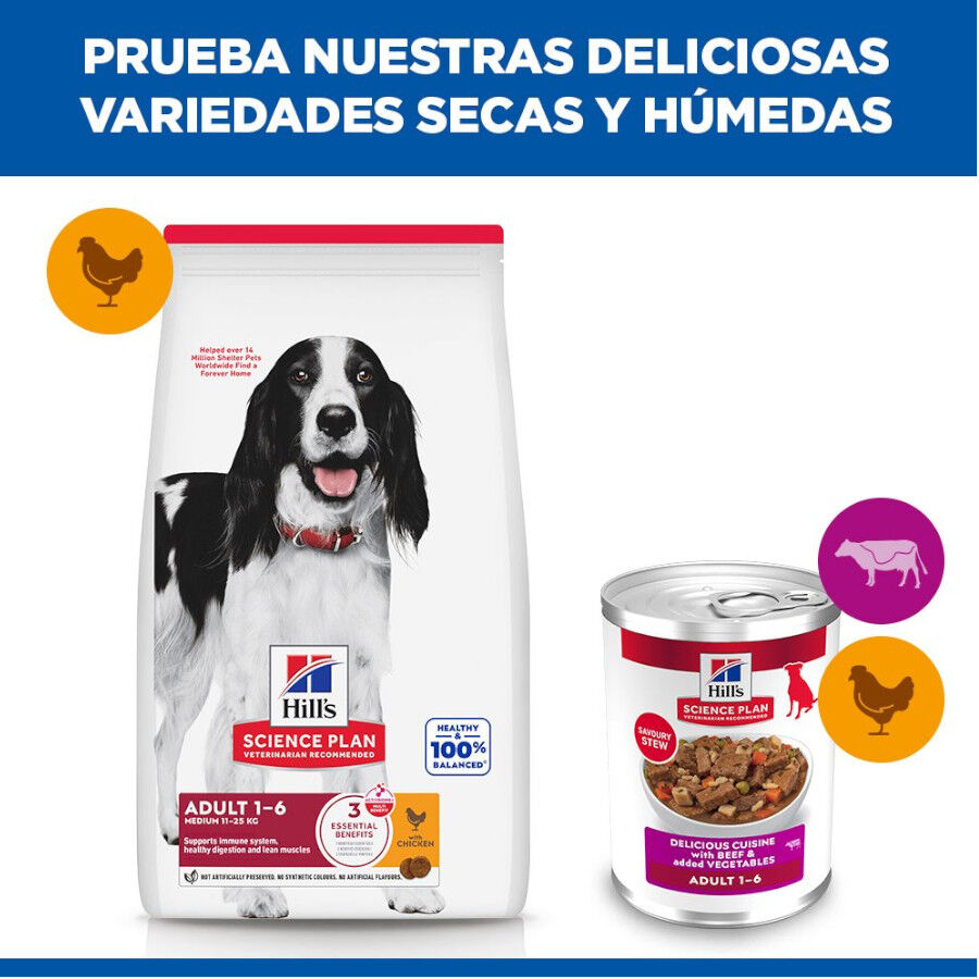 363 g Hill's Science Plan Adult Comida h&uacute;mida de Vaca e Legumes para c&atilde;es, , large Imagem n&uacute;mero 5