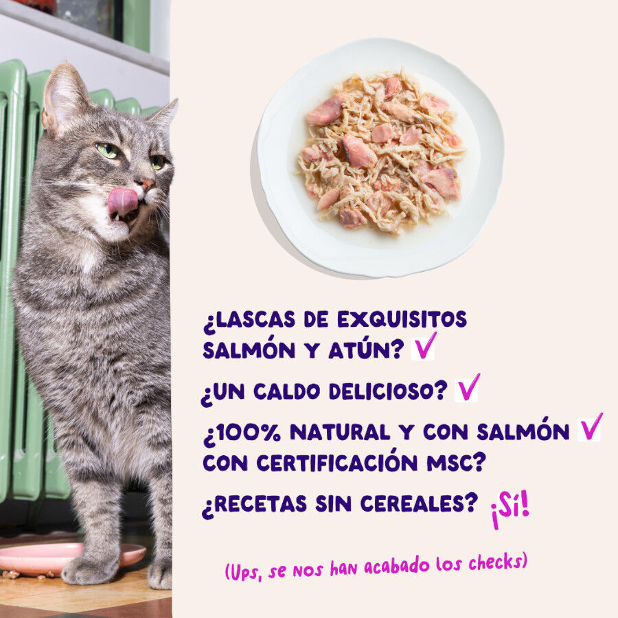 70 g Edgard & Cooper Filetes de Salm&oacute;n y At&uacute;n Lata para gatos, , large Imagem n&uacute;mero 4
