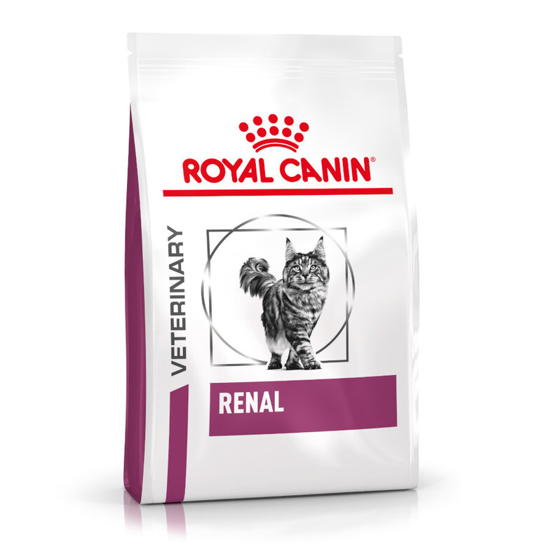 4 kg Royal Canin Veterinary Renal ração para gatos ,  Imagem número 1 4 kg Royal Canin Veterinary Renal ração para gatos , , large Imagem número 1