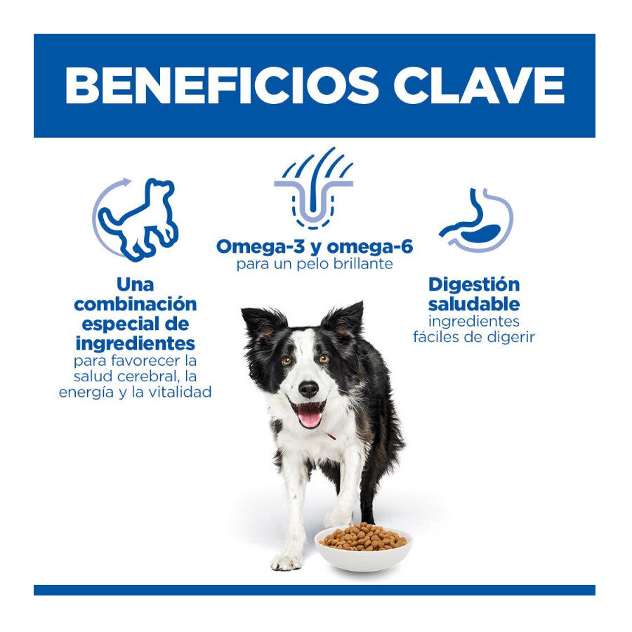 Hill's Medium Adult Science Plan Youthful Vitality Frango ra&ccedil;&atilde;o para c&atilde;es, , large Imagem n&uacute;mero 3