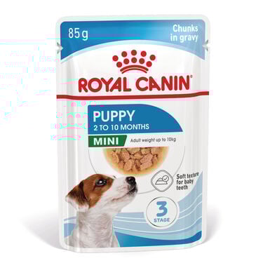 Royal Canin Mini Puppy alimento húmido em molho saquetas para cães