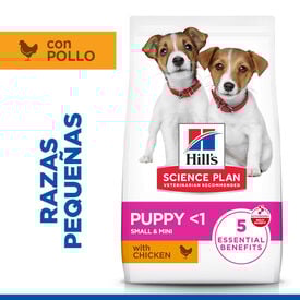 Hill's Science Plan Ra&ccedil;&atilde;o de frango para c&atilde;es de ra&ccedil;as mini