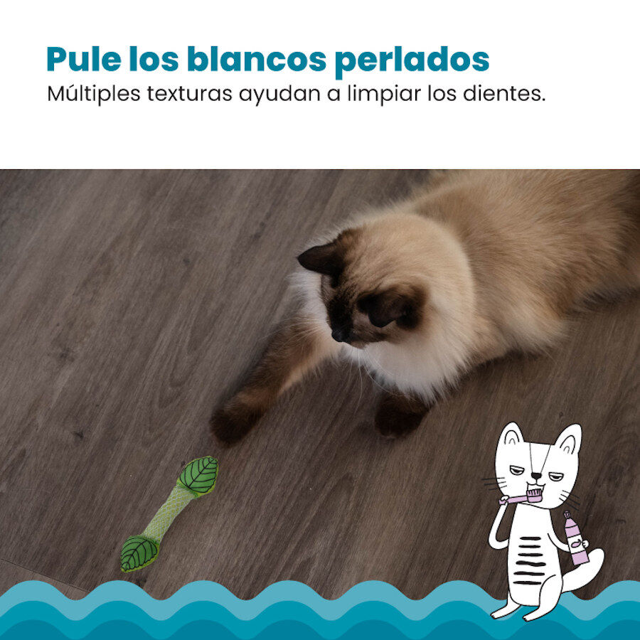 Catstages Fresh Breath Stick Peluche Dent&aacute;rio com Menta para gatos, , large Imagem n&uacute;mero 5