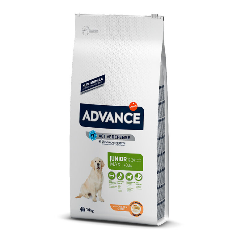 14 kg Advance Active Defense Maxi Junior Frango e Arroz ração para cães,  Imagem número 1 14 kg Advance Active Defense Maxi Junior Frango e Arroz ração para cães, , large Imagem número 1