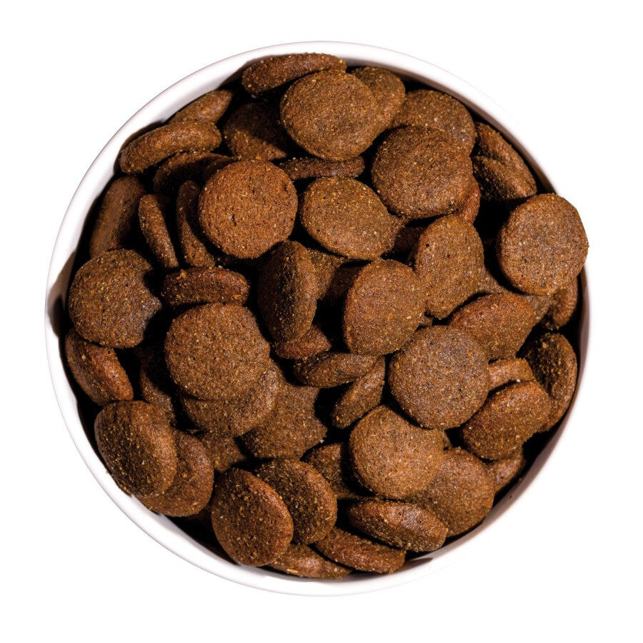 Ownat Ultra Maxi Adult ra&ccedil;&atilde;o para c&atilde;es, , large Imagem n&uacute;mero 3