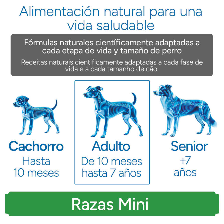 Criadores Cient&iacute;fico Sensitive Adulto Mini Ra&ccedil;&atilde;o de salm&atilde;o para c&atilde;es, , large Imagem n&uacute;mero 11