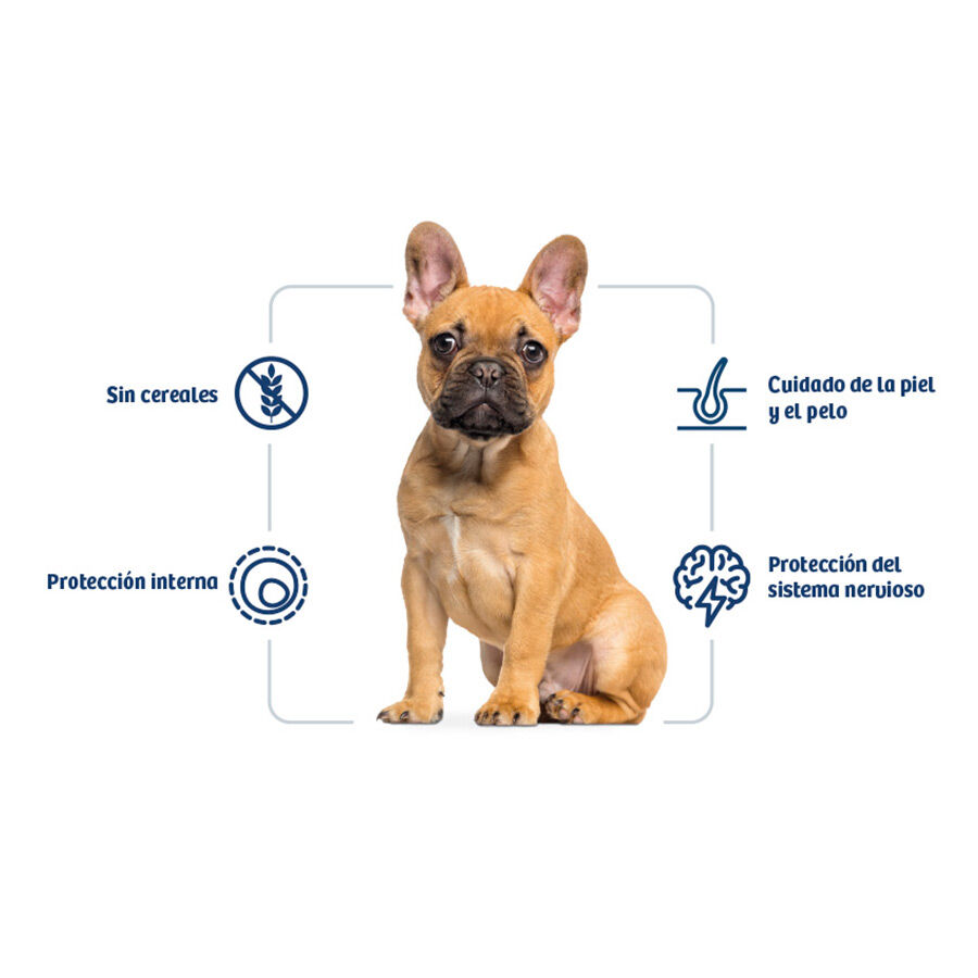 7 kg Nath Adult Mini Sensitive Peixe Branco e Salm&atilde;o ra&ccedil;&atilde;o para c&atilde;es , , large Imagem n&uacute;mero 2