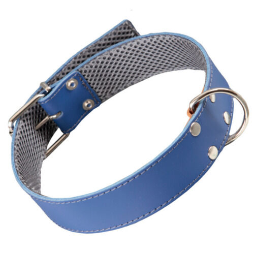 Arppe cuero azul con forro interior collar perros Imagem n&uacute;mero 1